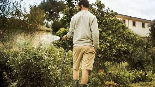 Person gießt mit Gartenschlauch Pflanzen.